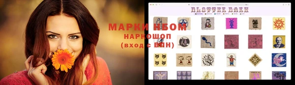 шишки Верхний Тагил