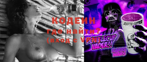шишки Верхний Тагил