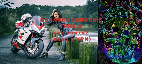 шишки Верхний Тагил